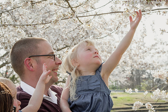 schreur_cherryblossoms_photographybytrishalegresmith_2023-2823