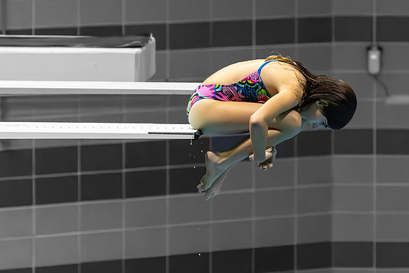 Dive Mason 2023